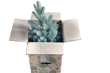 Christmas tree in a box isolate on white. PNG