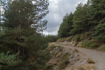 dirt road in the Sierra Nevada mountain in southern Spain