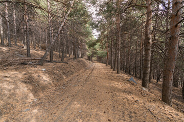 dirt road in the Sierra Nevada mountain in southern Spain