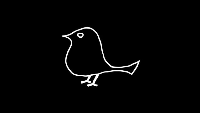 bird on a black background . White Highlight Elements. Doodle loop animation.  doodle style on transparent background. Jittery Artistic Motion. scribble animation. 