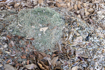 A close-up view of the background of a pile of small leaves and hay.