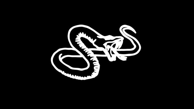 black snake illustration animation. White Highlight Elements. Doodle loop animation.  doodle style on transparent background. Jittery Artistic Motion. scribble animation. 