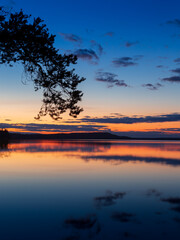 Fototapeta na wymiar Sunset with pine branch silhouette and colorful clouds reflecting in still lake water Karelia Russia