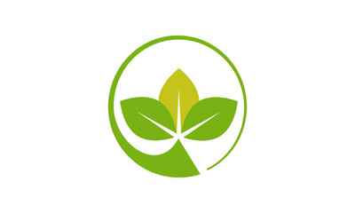 Farm logo design agriculture logo design vector image