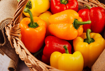 Freshly harvested red and yellow paprika