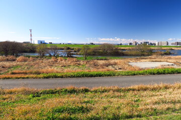 土手から見た冬の江戸川河川敷風景