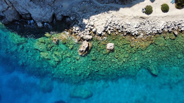 Anthony Quinn Bay