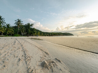 Fototapeta na wymiar Tropical trees and white beach sand.