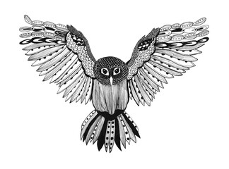 Wild owl. Graphic.Ornament  drawing.Black drawing isolated on white background. Hand drawn. Illustration