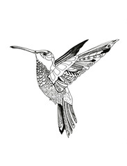 Small motley bird fluing black ink, isolated on a white backgound. Graphic Ornament  drawing.