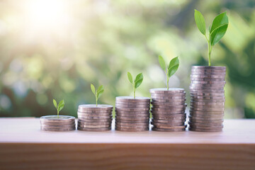 growth of green tree on coin on table wooden natural blur background.Investment concept and profit