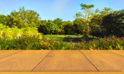 The beautiful wood floor and meadow background surrounds the beautiful trees.