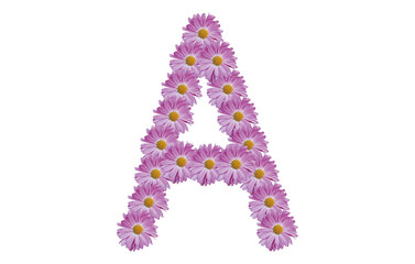 Letter A made with pink flower isolated on white background. Spring concept idea. 