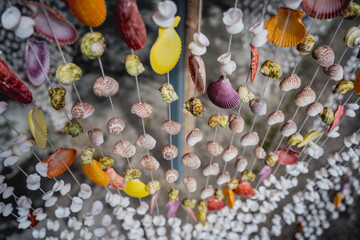 Fototapeta na wymiar Handmade souvenir decorated with different sea shells