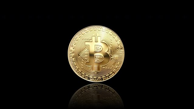 Animation of golden bitcoin rotating with reflection on a black surface. Spinning Bitcoin.Golden Bitcoin. BTC Coins. Blockchain technology, Bitcoin mining concept.loop
