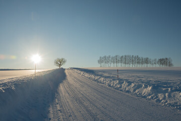 夕陽を反射する雪の坂道
 - obrazy, fototapety, plakaty