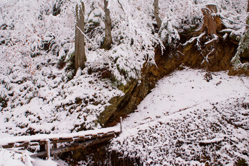 Wooden homemade bridge over a stream in the forest, near a rock and tree roots in winter