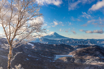 Fototapeta na wymiar 冬の大菩薩嶺登山道から樹氷・霧氷と富士山
