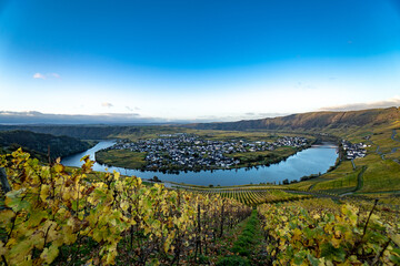 Sunrise in the vineyard above Piesport