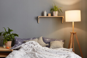 Light and airy cozy bedroom with bed, lamp, cushions and plant. No people. Home interior.