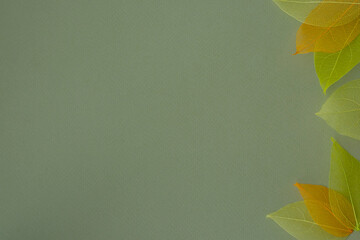 Green composition of dried yellow and orange leaf skeletons around the edge of the sheet. Flat plan, top view, copy space. Design for text.
