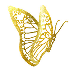 butterfly isolated golden 