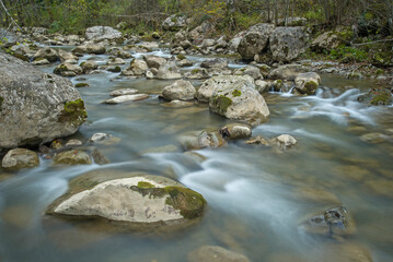 Flowing river Sjevernica in Montenegro. Autumn scene.