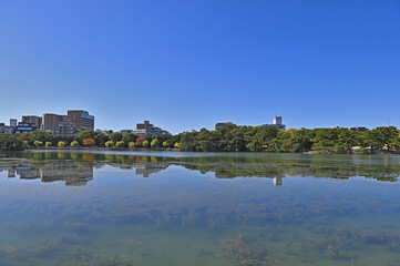 Fototapeta na wymiar 大濠公園「松島から望む大濠池」