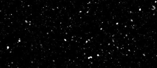 Falling snow flakes, Flying dust particles on a black background. Abstract winter background. Winter landscape with falling shining beautiful snow.