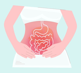 A woman with abdominal pain points to the intestines. Problems of the gastrointestinal tract, dysbacteriosis, diverticulitis, constipation or diarrhea. The girl holds her hands on her stomach. Vector.