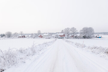 Obraz premium Country road landscape in a frosty and snowy christmas day 
