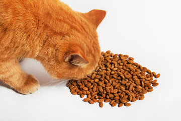 Cute red cat eating dry food, top angle view, close up