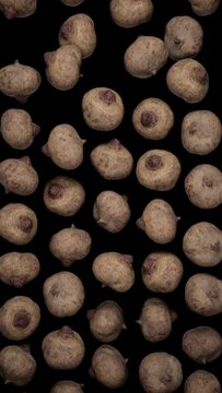 Vertically composed looping animation featuring a cloud of Beetroots falling endlessly an alpha transparent background.
