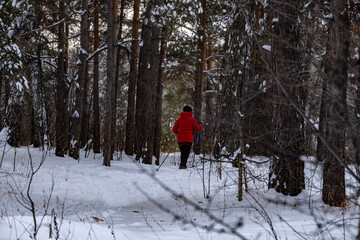 person walking in the snow