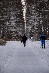 people walking on the beach