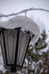 snow covered lamp
