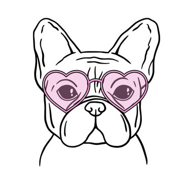French bulldog black and white hand drawn portrait. French bulldog face in line. Dog head with heart glasses. Valentines Day. Cute muzzle French Bulldog.