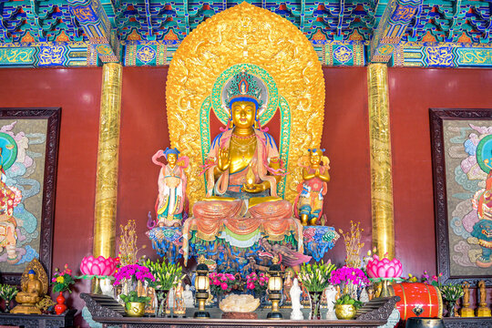 ZHEJIANG,CHINA 8 february 2020 - Golden buddha statue in Fayu Temple. Mount Putuo is an island in Zhoushan city