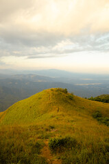 vertical view of mountain with green and yellow grass, Doi Luang Tak, Thailand