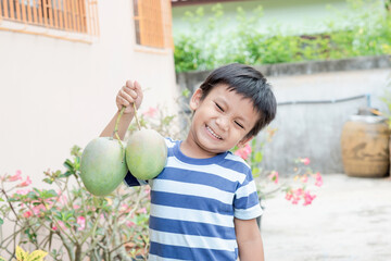 Asian little boy holding green mango in hand with happy funny face.