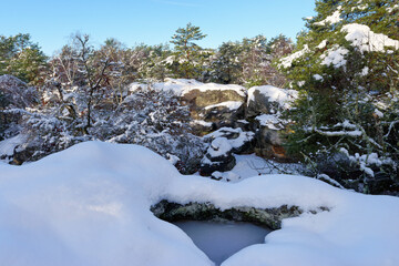 Fototapeta na wymiar The Fontainebleau forest is covered in snow. Franchard gorges