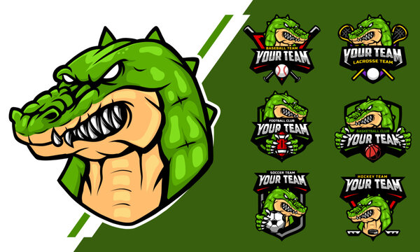 Crocodile Head Mascot Logo with logo set for team football, basketball, lacrosse, baseball, hockey , soccer .suitable for the sports team mascot logo .vector illustration