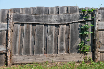 Fototapeta premium Old fence of logs. Palisade against the blue sky