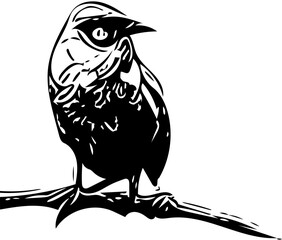 bird on a branch