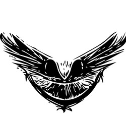 black and white eagle