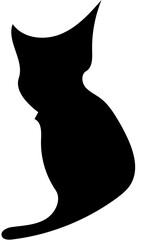 silhouette of a cat