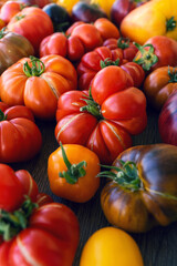 Farm tomatoes on the table