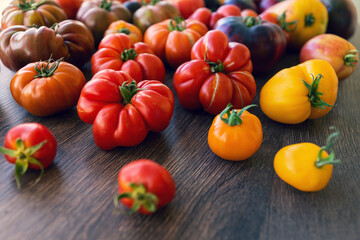 Fototapeta na wymiar Farm tomatoes on the table