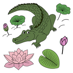 Obraz premium Cartoon vector alligator, lily flowers, leaves. Colorful clipart crocodile in the swamp