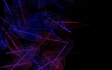 Dark Pink, Blue vector natural artwork with leaves.